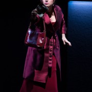 Donna Elvira, Seattle Opera 2014